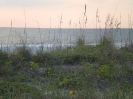 IRB Beach Photos_5