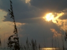IRB Beach Photos_7