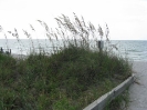 IRB Sea Oats_1